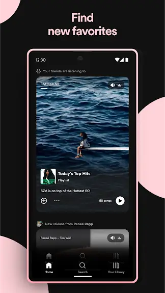 Spotify Mod Apk