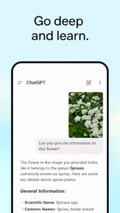 ChatGPT Premium MOD APK 5.2.3.3 [Premium Unlocked] for Android 2